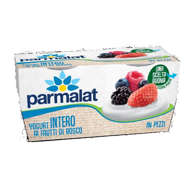PARMALAT YOGURT INTERO FR. BOSCO 2X125G X 12 CF