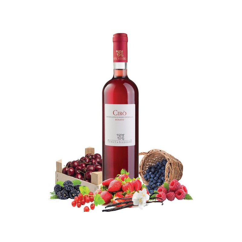 T. IUZZOLINI CIRO\' ROSATO CL. 75 X 6 CF
