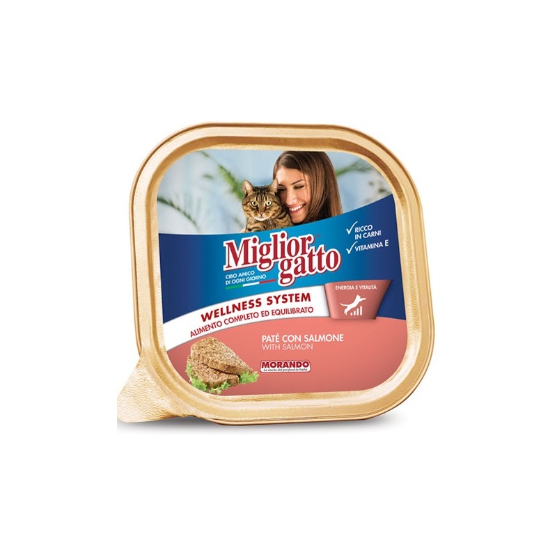 MG PATE SALMONE VA 100 X 32 CF