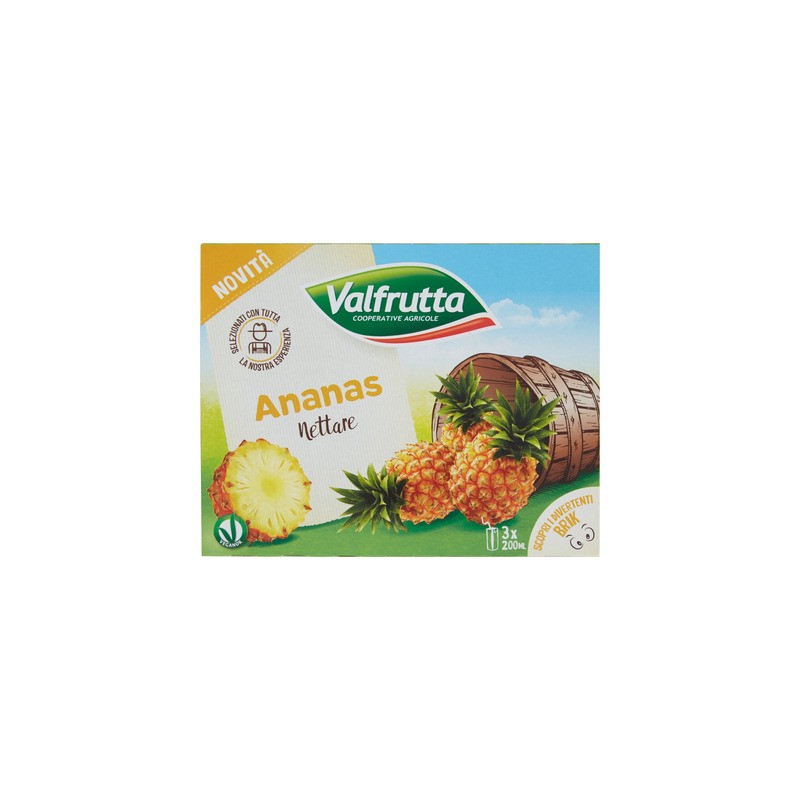 NETT. ANANAS VF OP/TOP 8X3X200