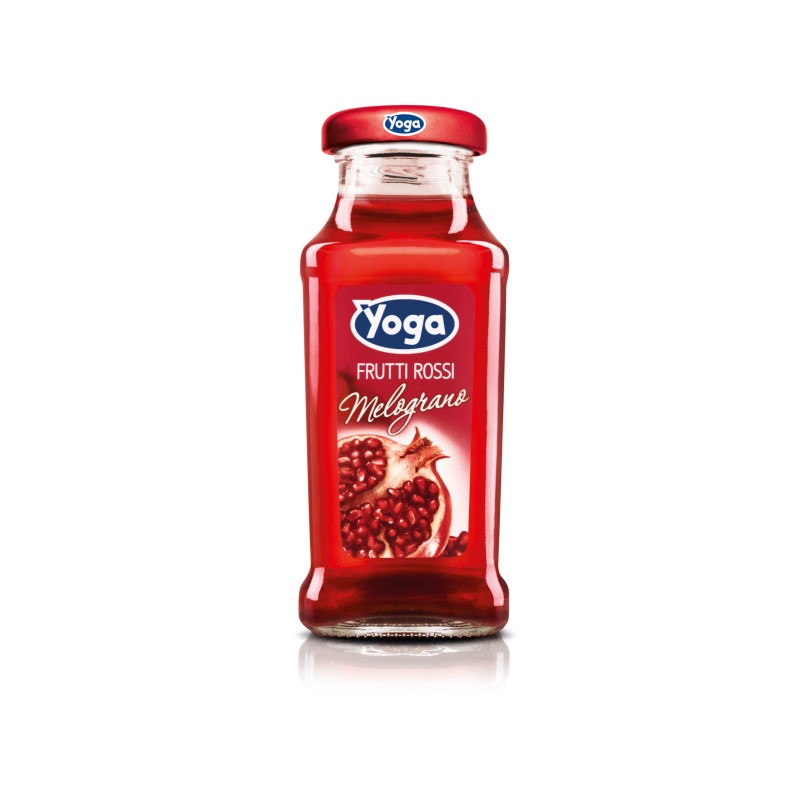 YOGA SUCC. MELOGRANO 200 ML X 24 CF