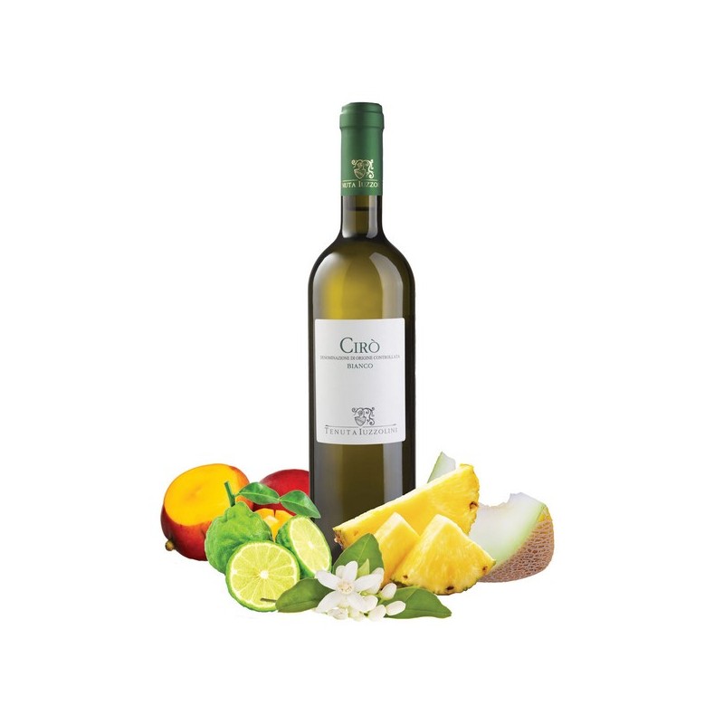 T. IUZZOLINI CIRO\' BIANCO CL. 75 X 6 CF