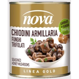 NOVA CHIODINI ARMILLARIA LATTA GR 780