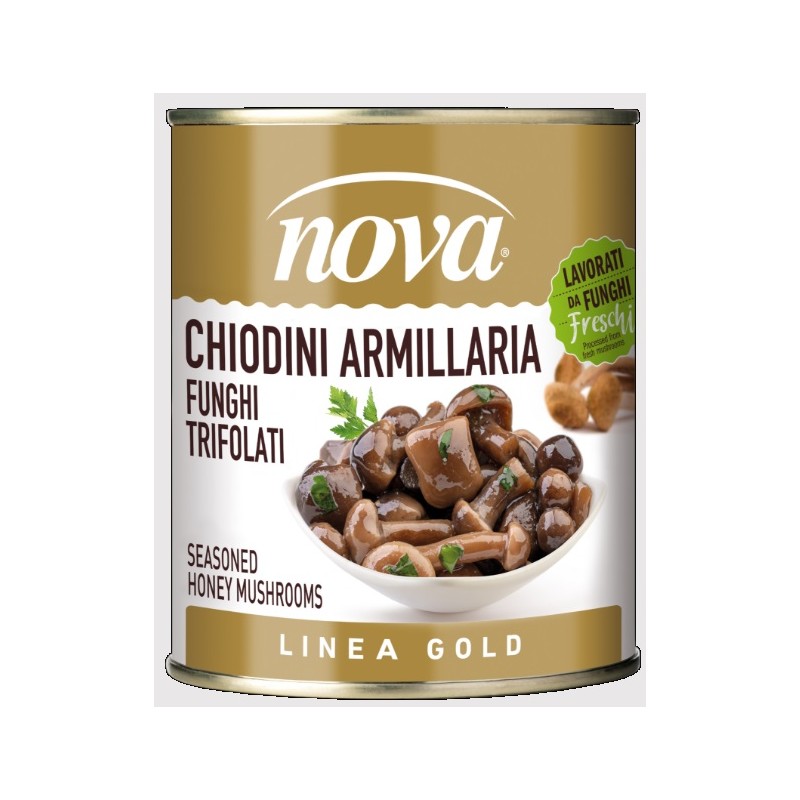NOVA CHIODINI ARMILLARIA LATTA GR 780