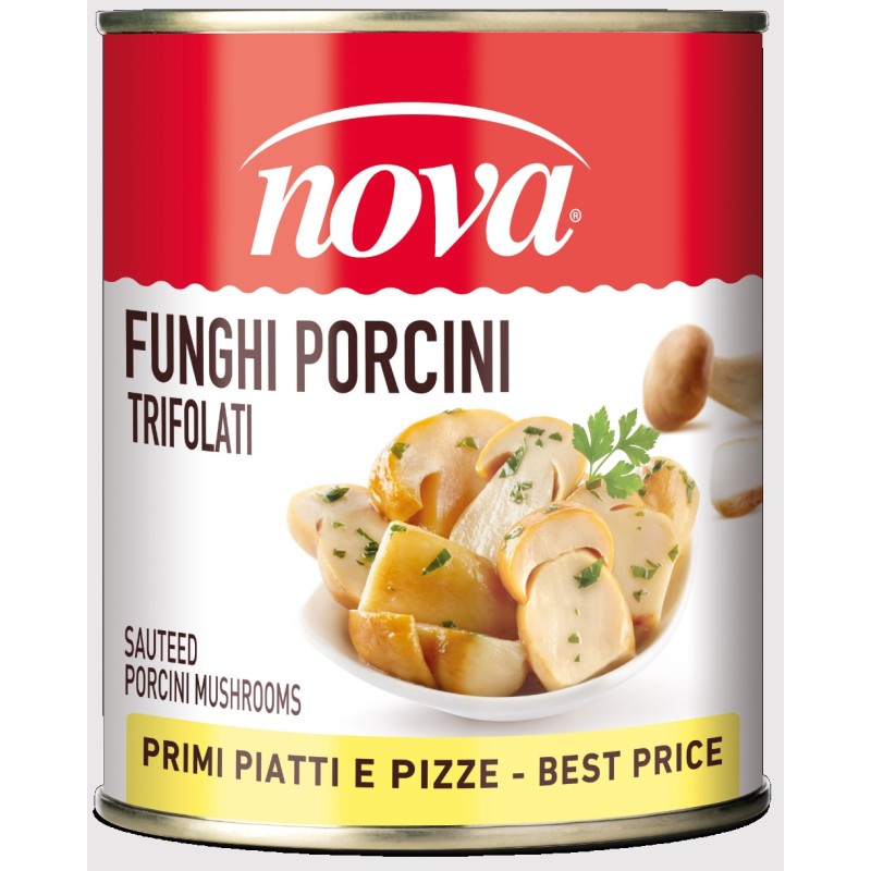 NOVA FUNGHI PORCINI LATTA GR 780