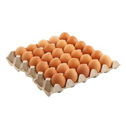 UOVA SFUSE M 63/73 X 180 PZ