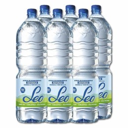 ACQUA NATURALE LEO LT 2 X 6