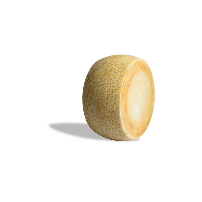 CREMONA FORMAGGIO ITALIANO RETINATO FORMA INTERA