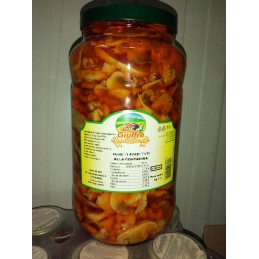 GIUFFRE\' FUNGHI CASARECCI VASO O.G. 580 GR
