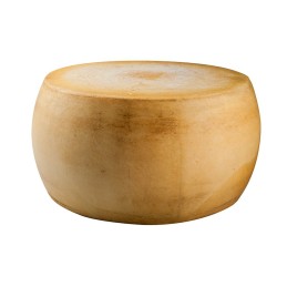 FORMAGGIO DURO DA GRATTUGIA