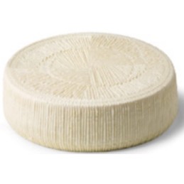 ZAPPALA\' TUMA FRESCA 1/4